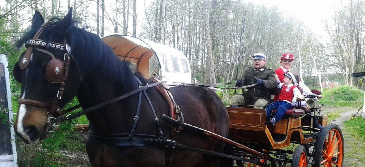 Agroturystyka Zloty Klos * Poznań